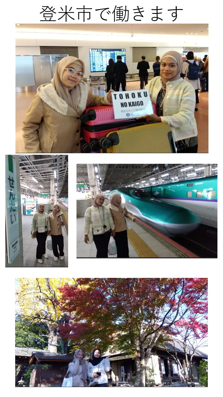 登米市で働きます